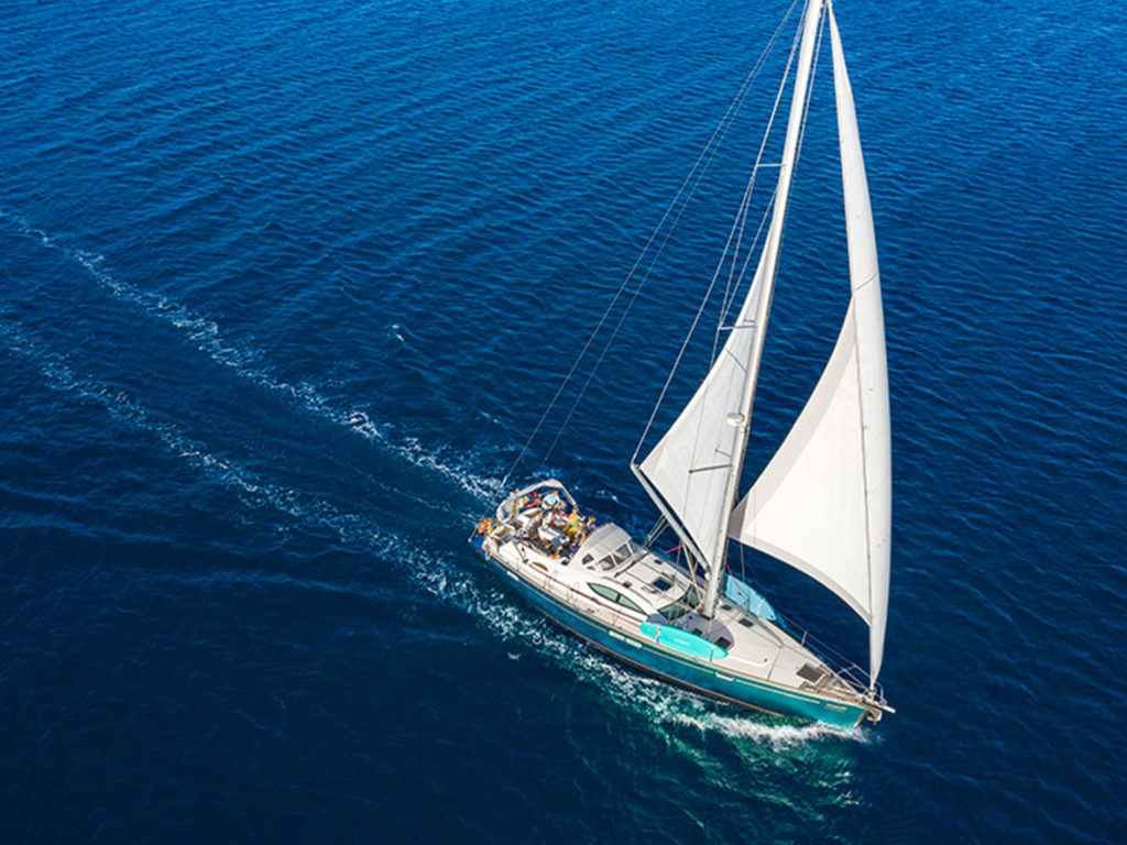 Morpheus 54DS - Bird